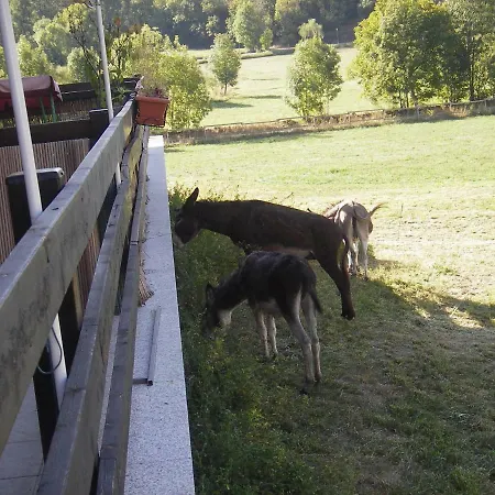 Vivienda Isabel Apartment *