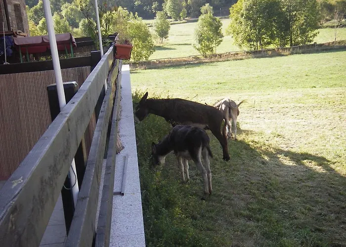 Vivienda Isabel Apartment *